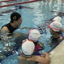 YS 스윔키즈 이미지