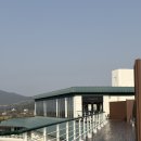 그랜드 조선 제주 스타벅스 한정 메뉴 돌보로 오메기 브레드 솔직후기