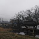 숲속 게르 하우스 이미지