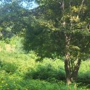 백운공원 배드민턴장 이미지