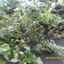 김진득 농장 이미지