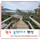 완도 여행 용현이네 숙박 &amp; 갯벌체험 후기