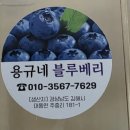 123몰