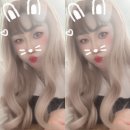 세느린 네이버블로그