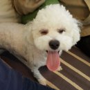 여주-0301 이미지