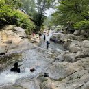 성불산장앞 이미지