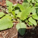 한열농장 이미지