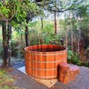 [시민교육]힐링 포레스트 | 뉴질랜드 포레스트 힐링 페스티벌 (이승헌 이사장)