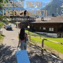 부치다 | 노모어댄 캐리어 코튼블루 26인치 스위스 여행 필수템 내돈내산 솔직후기