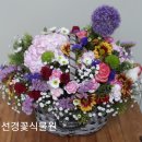 대포천작은도서관 이미지