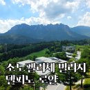 소노펠리체 빌리지 델피노 | 소노펠리체 빌리지 델피노 로얄 전문가 객실 설명 및 인기있는 동 소개