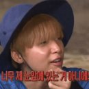 채움반찬