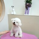 프리제이온 이미지