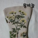 안경집 이미지