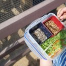 나뱅이길 이미지