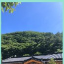 초당산방민박 이미지