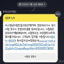 어른의세계