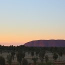 주천세탁소 | &lt;첫째글&gt; 에어즈락 리조트 총정리 -2018년 버전