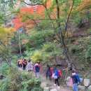 치유의숲 화장실 이미지