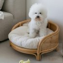 썬즈엔 이미지