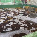 주식회사 유진-수입 이미지