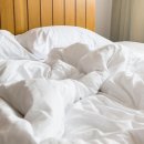 로얄파크장 이미지