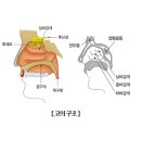 코요 - 중구 을지로16길 5-12 | 코요