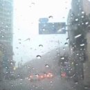 우중의 여인 ㅡ 오기택님 이미지