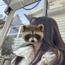 노랑등대 앞 | 2025년 마지막날 여수 혼자 당일치기 (길언니, 하멜등대, 노란고래, 와이드커피스탠드, 구봉만두, 바다...