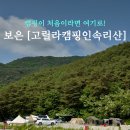[충북 보은] 대전 근교 애견동반 대형 캠핑장, 고릴라캠핑 인 속리산 E존 후기 (속리산 맛집 추천)