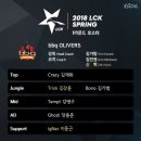 젤리스프링 이미지