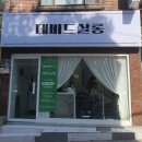 데비드 살롱
