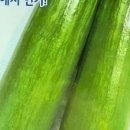 중앙종묘농약사 이미지