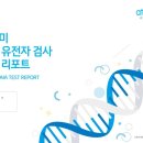구미애터미