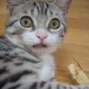 쏭쏭이야기 이미지