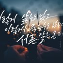 선지그리다 이미지