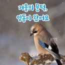 11월 8일(수) 입동 이미지