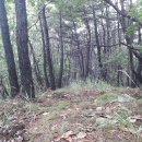 남장사약수터 이미지