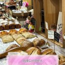 애플사우루스 | 논현역 빵집 강남 빵집 추천 천연발효종 맛집 브레드사우루스