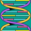 오산조은참치 - 오산시 성호대로 123 | 오산조은참치
