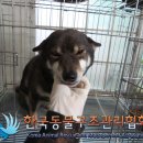 풍성로 이미지