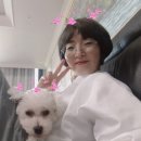 백천미용실