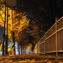 황토우렁쌈밥 이미지