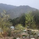 D00815 네이버블로그
