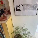 서초대로29길 15 이미지