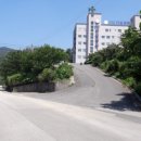 21C한일병원 이미지