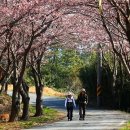 남도1번지 이미지