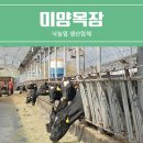 미양농장 이미지