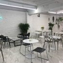 오아시스안과의원 Daum카페