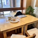 비건 식당 루티드 | 인생 첫 비건음식 혼밥 (그릴드 치즈 샌드위치, 크림 페스토 포테이토 샐러드)